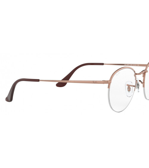 RAY_BAN_ROUND_GAZE_RB_3947V_2943_NYLOR_METAL_FRAME