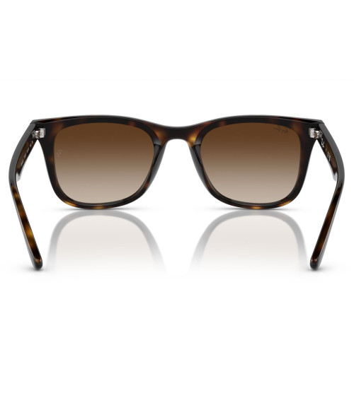 RAY_BAN_RB_4420_710/13_ACETATE_FRAME