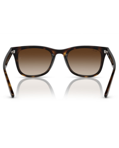 RAY_BAN_RB_4420_710/13_ACETATE_FRAME