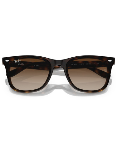 RAY_BAN_RB_4420_710/13_DEGRADED_LENSES