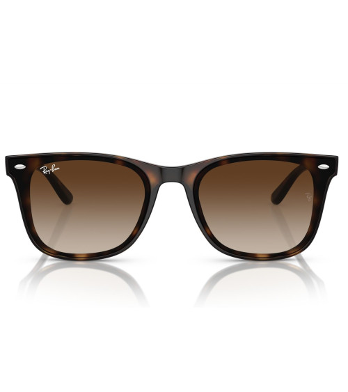 RAY_BAN_RB_4420_710/13_UNISEX_SUN_FRAME