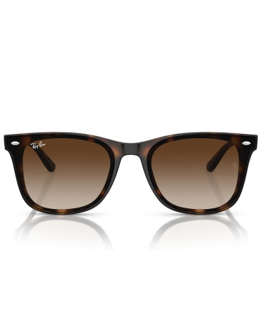 RAY_BAN_RB_4420_710/13_UNISEX_SUN_FRAME