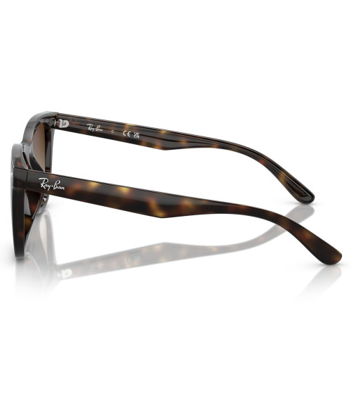 RAY_BAN_RB_4420_710/13_ACETATE_FRAME