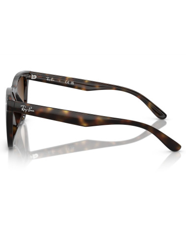 RAY_BAN_RB_4420_710/13_ACETATE_FRAME