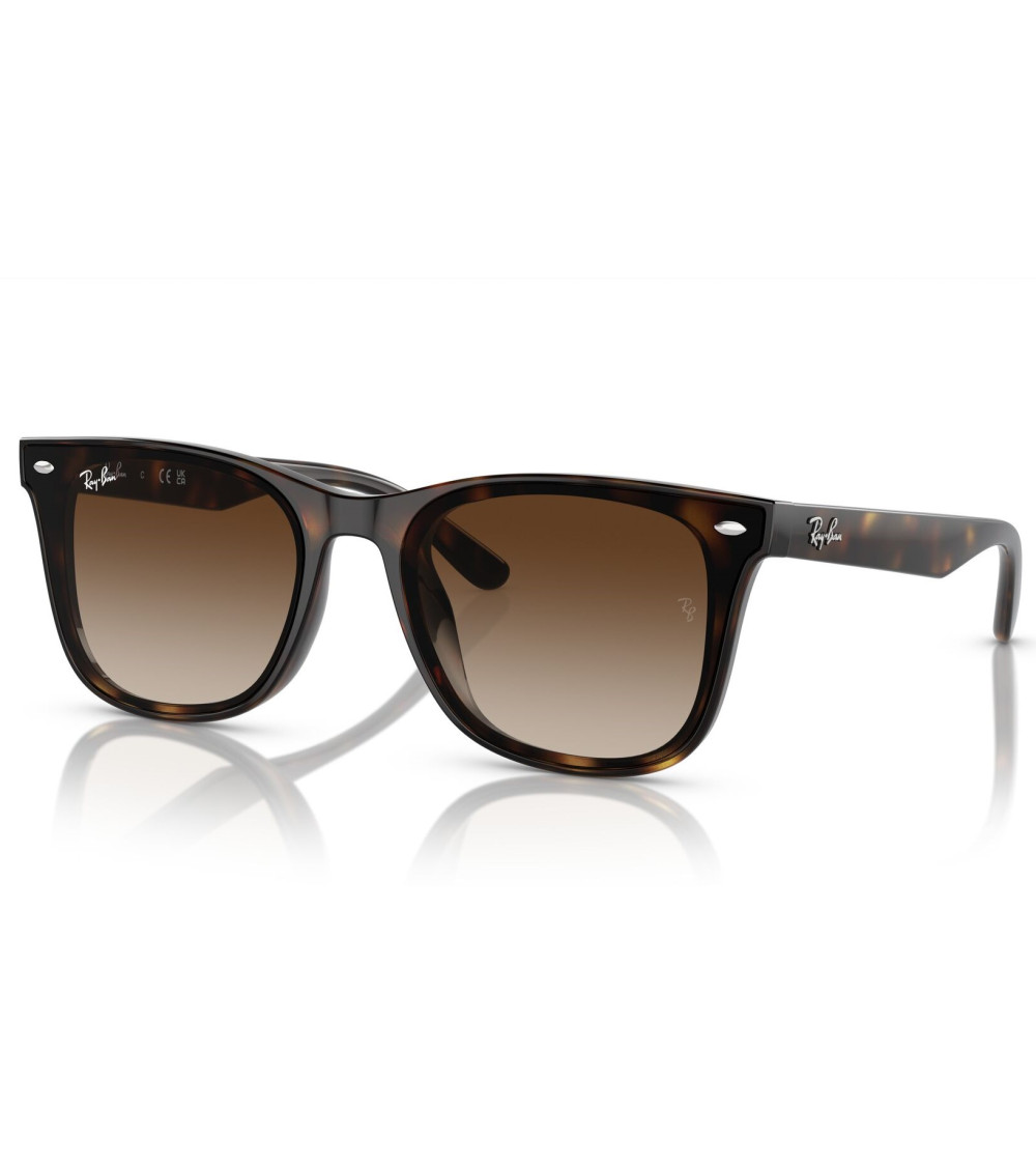 RAY_BAN_RB_4420_710/13