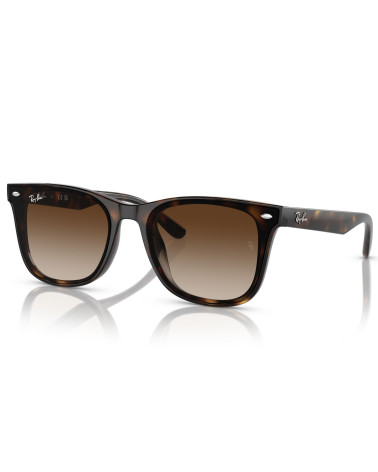 RAY_BAN_RB_4420_710/13