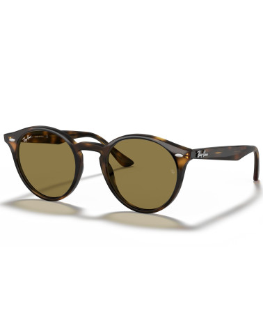 RAY_BAN_RB_2180_710/73