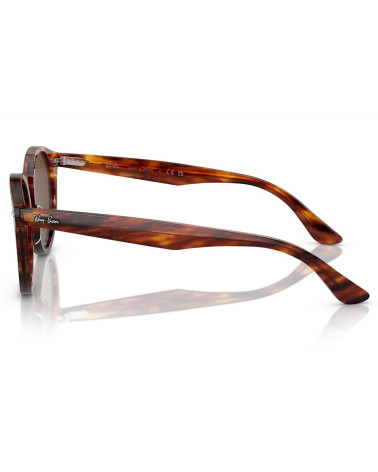 RAY_BAN_RB_7680S_LARRY_954/AN_ACETATE_FRAME