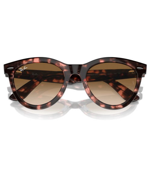 RAY_BAN_RB_2241_WAYFARER_WAY_1334/51_DEGRADED_LENSES