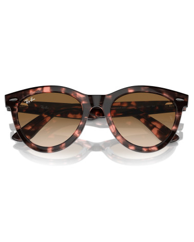 RAY_BAN_RB_2241_WAYFARER_WAY_1334/51_DEGRADED_LENSES