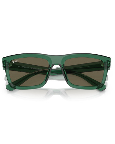 RAY_BAN_RB_4396_WARREN_6681/3_SQUARED_SHAPE