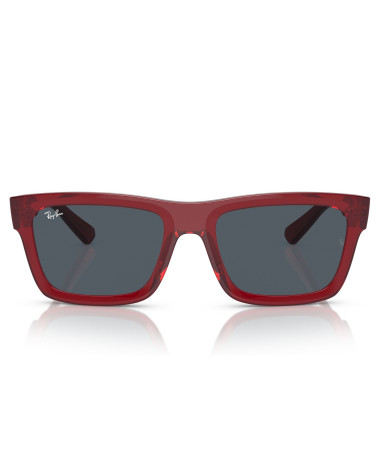 RAY_BAN_RB_4396_WARREN_6679/87_UNISEX_SUN_FRAME