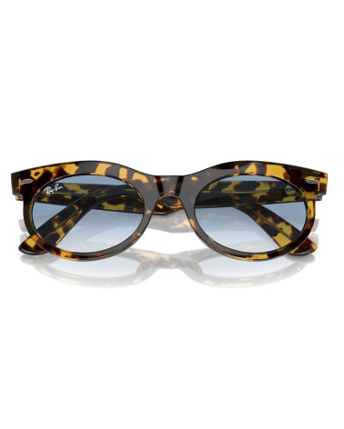 RAY_BAN_RB_2242_WAYFARER_OVAL_1332/3F_DEGRADED_LENSES