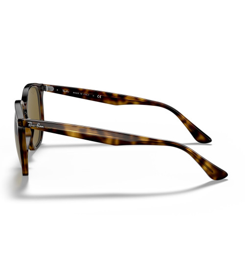 RAY_BAN_RB_4306_710/73_ACETATE_FRAME