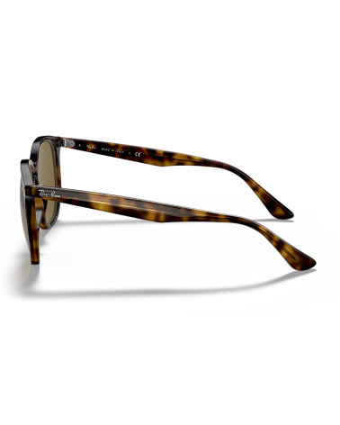 RAY_BAN_RB_4306_710/73_ACETATE_FRAME