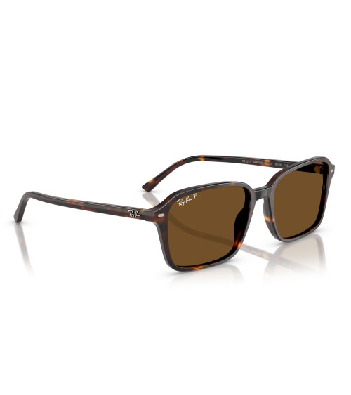 RAY_BAN_RAIMOND_RB_2231_902/57_CRYSTAL_LENSES