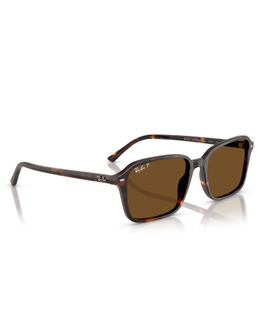 RAY_BAN_RAIMOND_RB_2231_902/57_CRYSTAL_LENSES