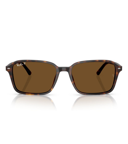 RAY_BAN_RAIMOND_RB_2231_902/57_UNISEX_SUN_FRAME