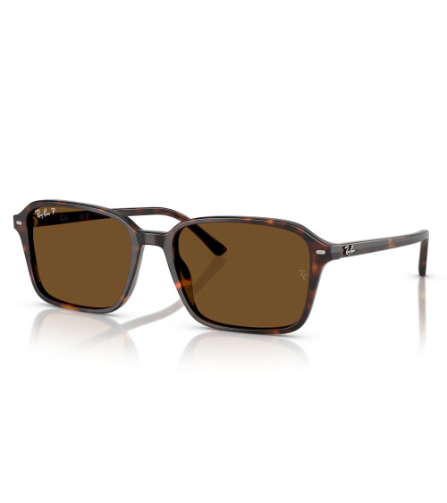 RAY_BAN_RAIMOND_RB_2231_902/57