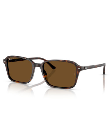 RAY_BAN_RAIMOND_RB_2231_902/57