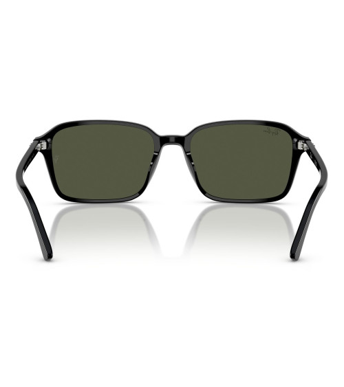 RAY_BAN_RAIMOND_RB_2231_901/31_CRYSTAL_LENSES