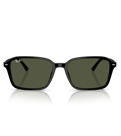 RAY_BAN_RAIMOND_RB_2231_901/31_UNISEX_HLIOY