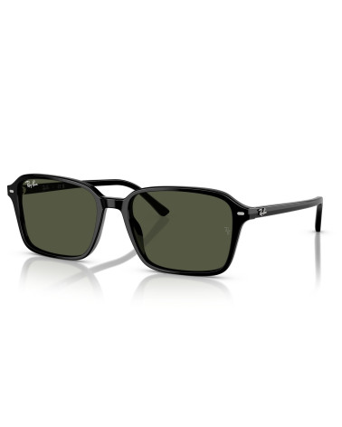 RAY_BAN_RAIMOND_RB_2231_901/31