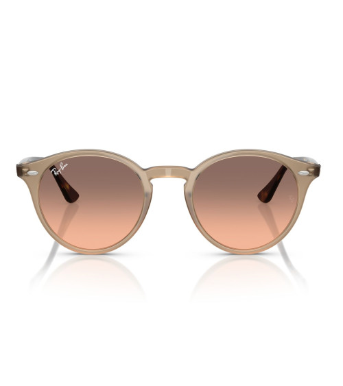 RAY_BAN_RB_2180_6788/46_UNISEX_HLIOY