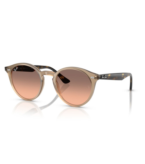 RAY_BAN_RB_2180_6788/46