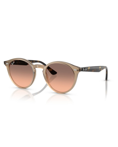 RAY_BAN_RB_2180_6788/46